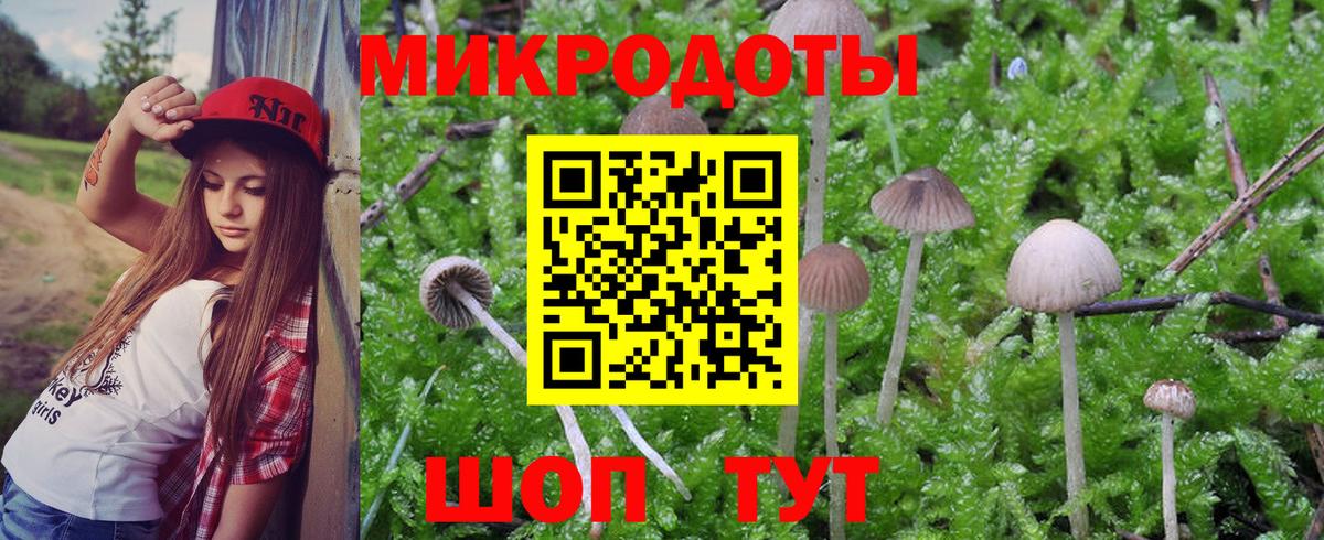Острогожск  Псилоцибиновые грибы Psilocybe  Галлюциногенные грибы мухоморы  Вход с VPN 